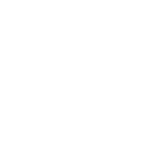 sygnet_arrmy